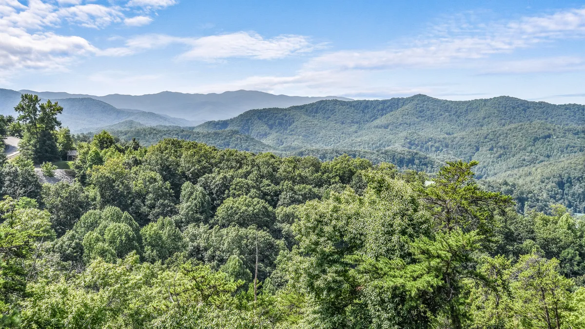 This image captures a sweeping view of the Smoky Mountains, with a mountain range, dense forest, and a clear sky, perfectly illustrating the natural landscapes that draw families to the area for hiking, picnics, and wildlife encounters.